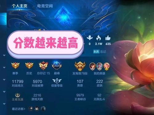 巅峰赛最新皮肤爆料图,揭秘神秘英雄的华丽蜕变